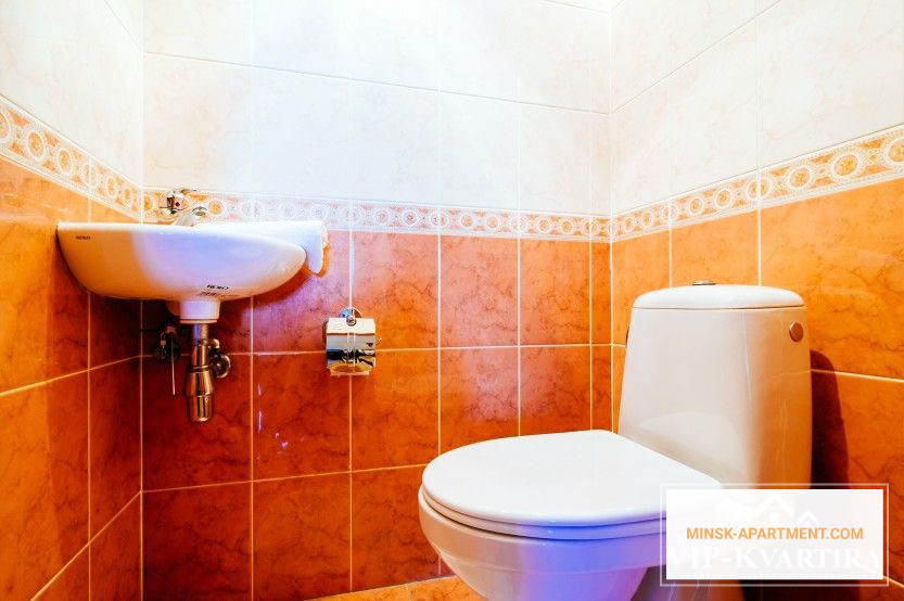 Bathroom of the Apartment in the Center of Minsk Belarus